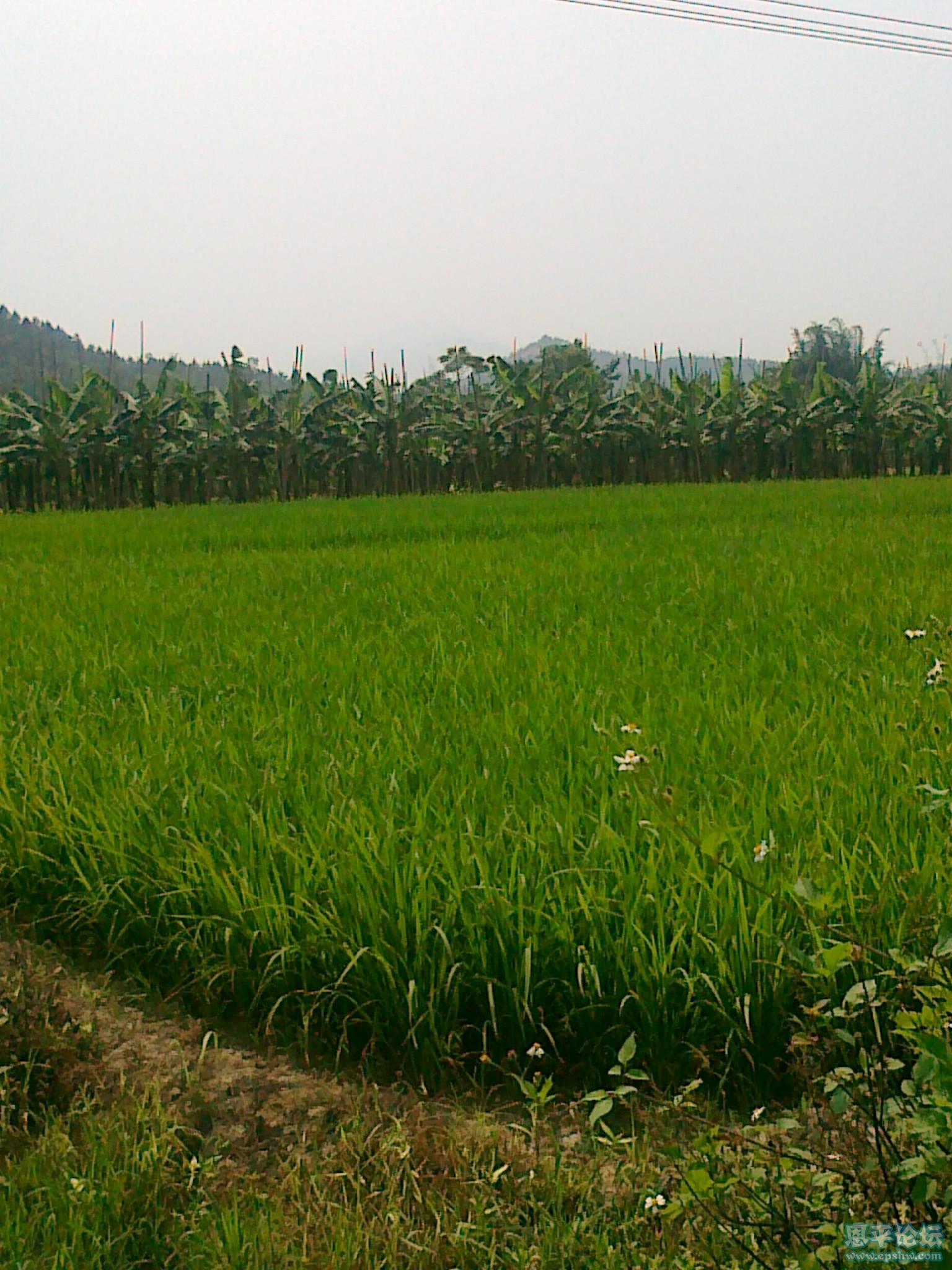 20110528173.jpg