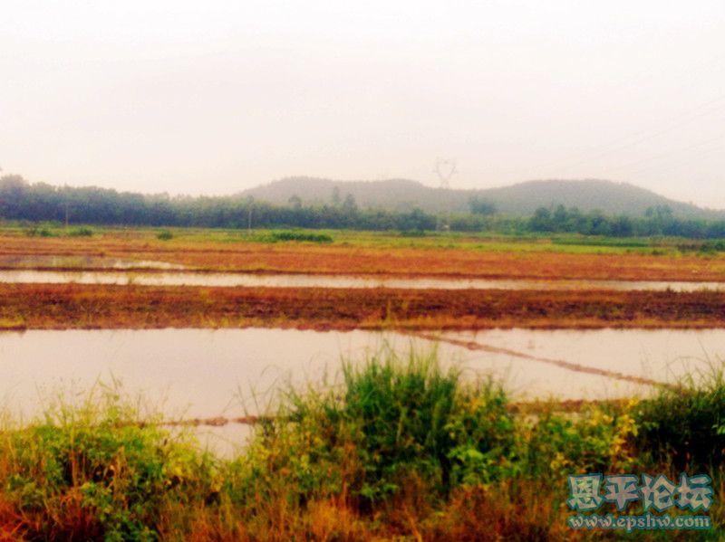 20110715932_副本.jpg