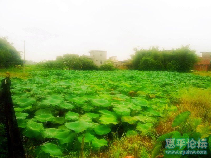 20110715922_副本.jpg