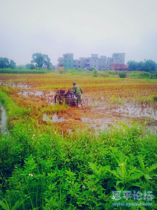 20110715906_副本.jpg