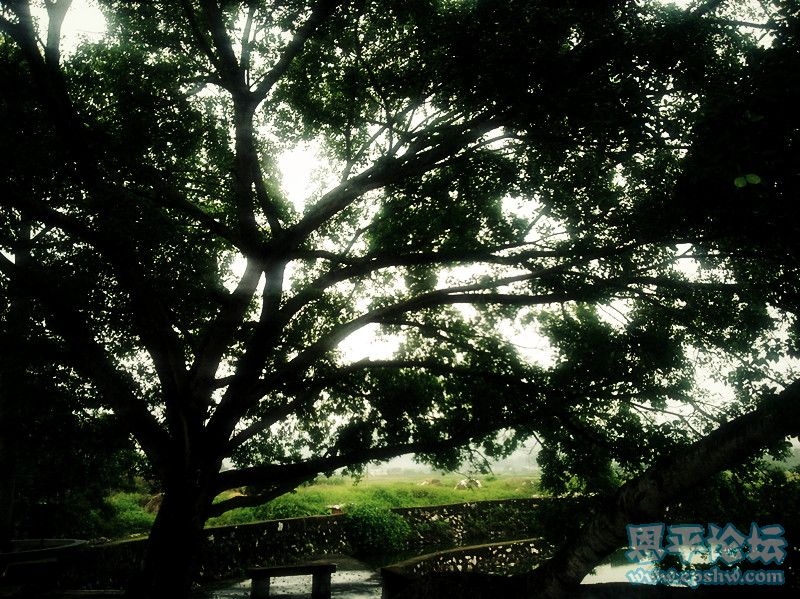 20110715941_副本.jpg