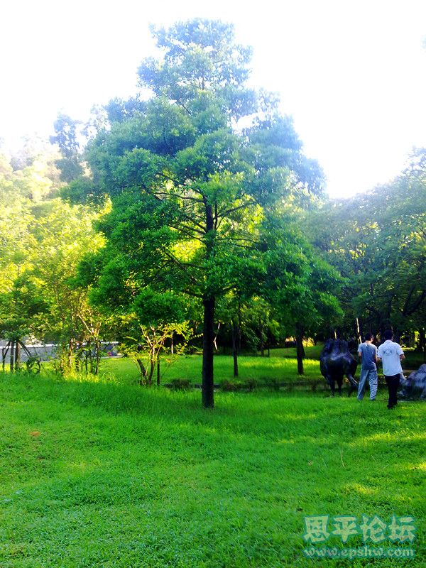 20110804093_.jpg