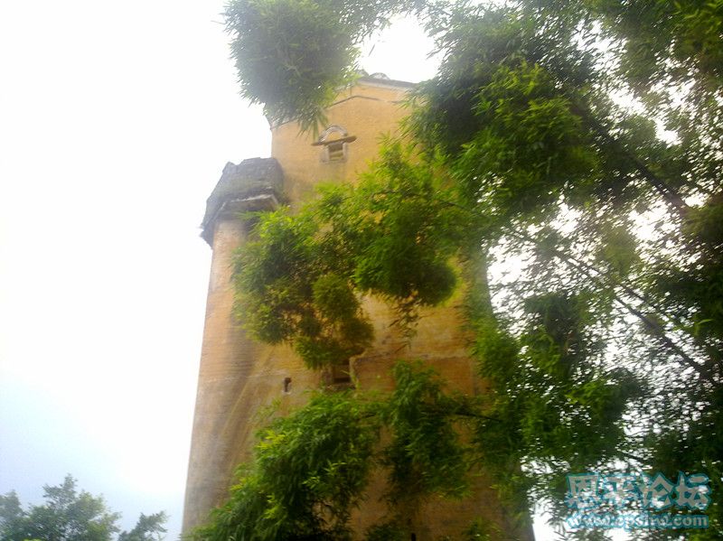 20110710720_.jpg