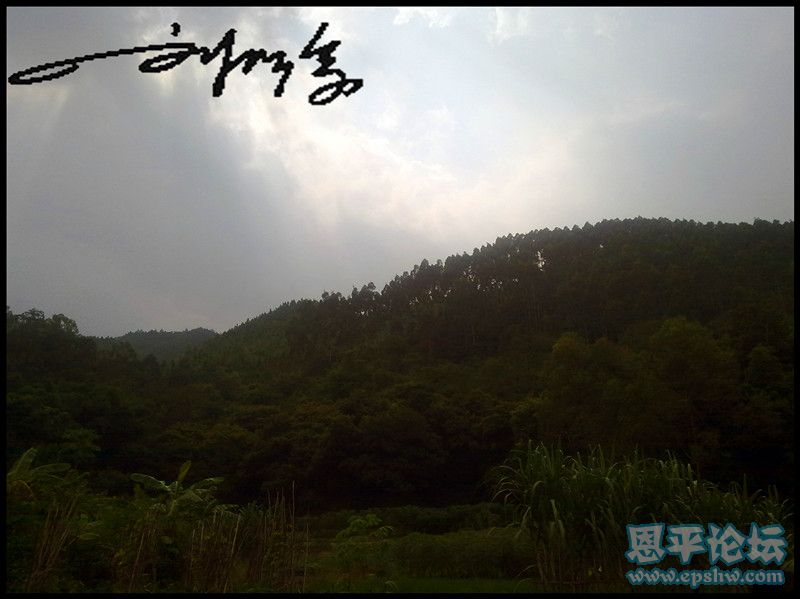 20110910030_.jpg