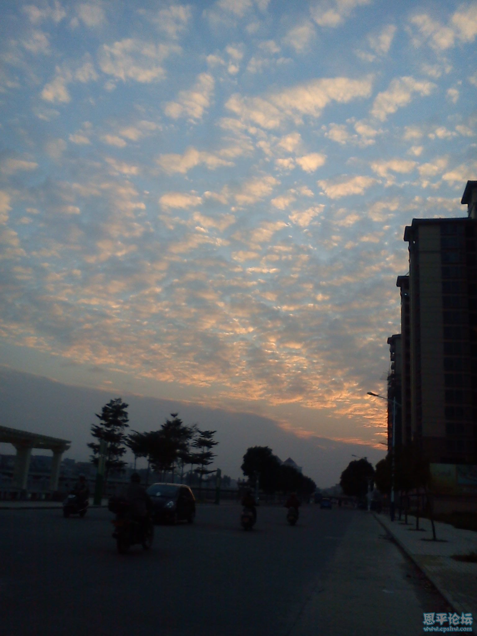 DSC00010.jpg