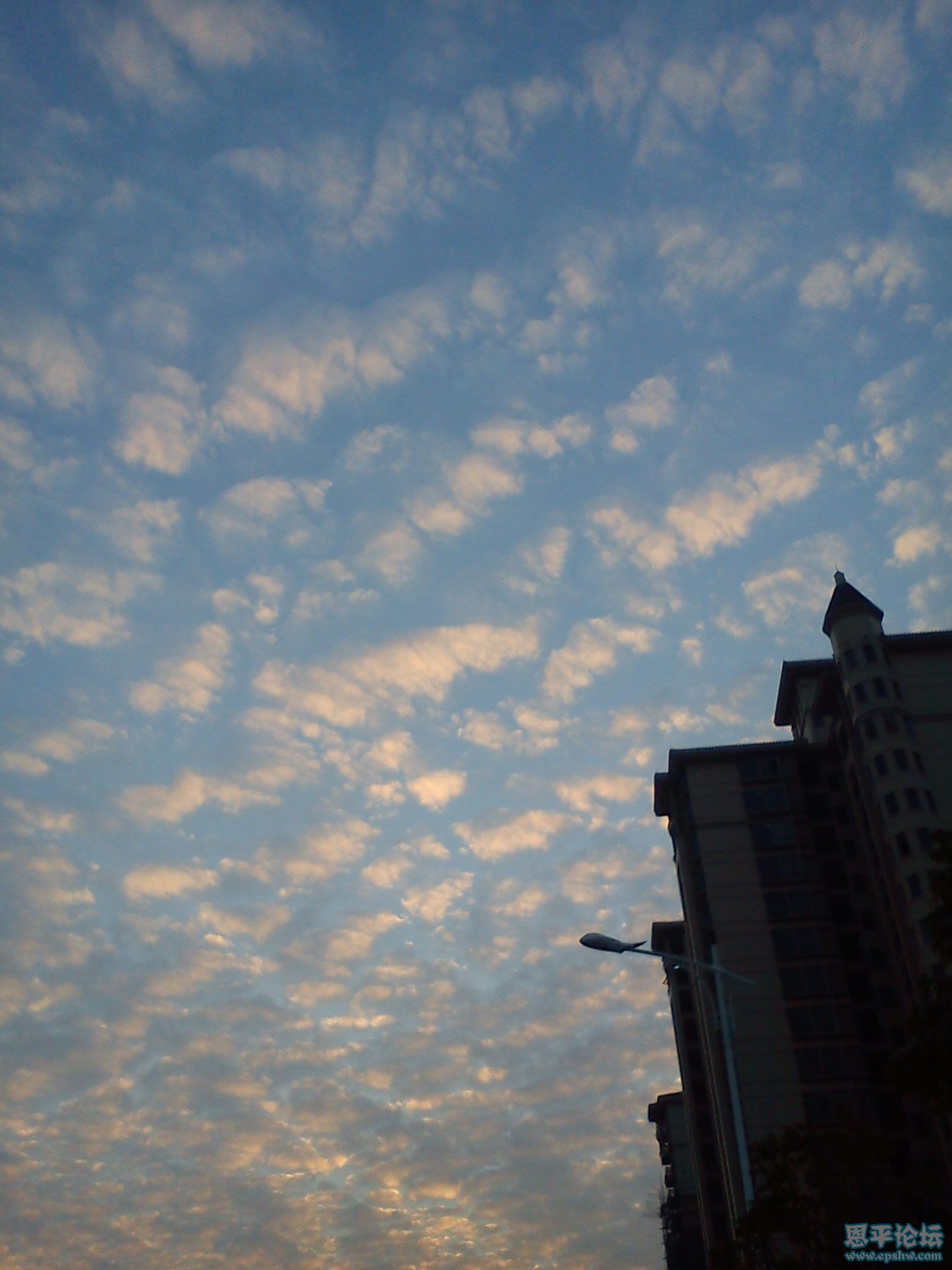 DSC00011.jpg
