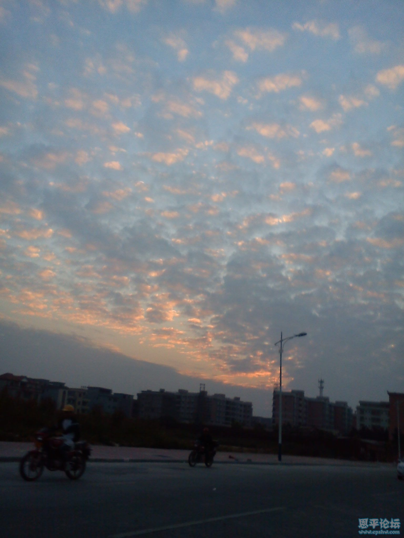 DSC00013.jpg