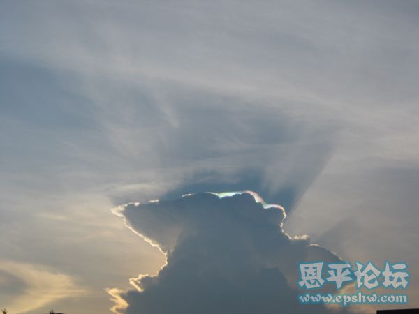 Ƭ 005.jpg