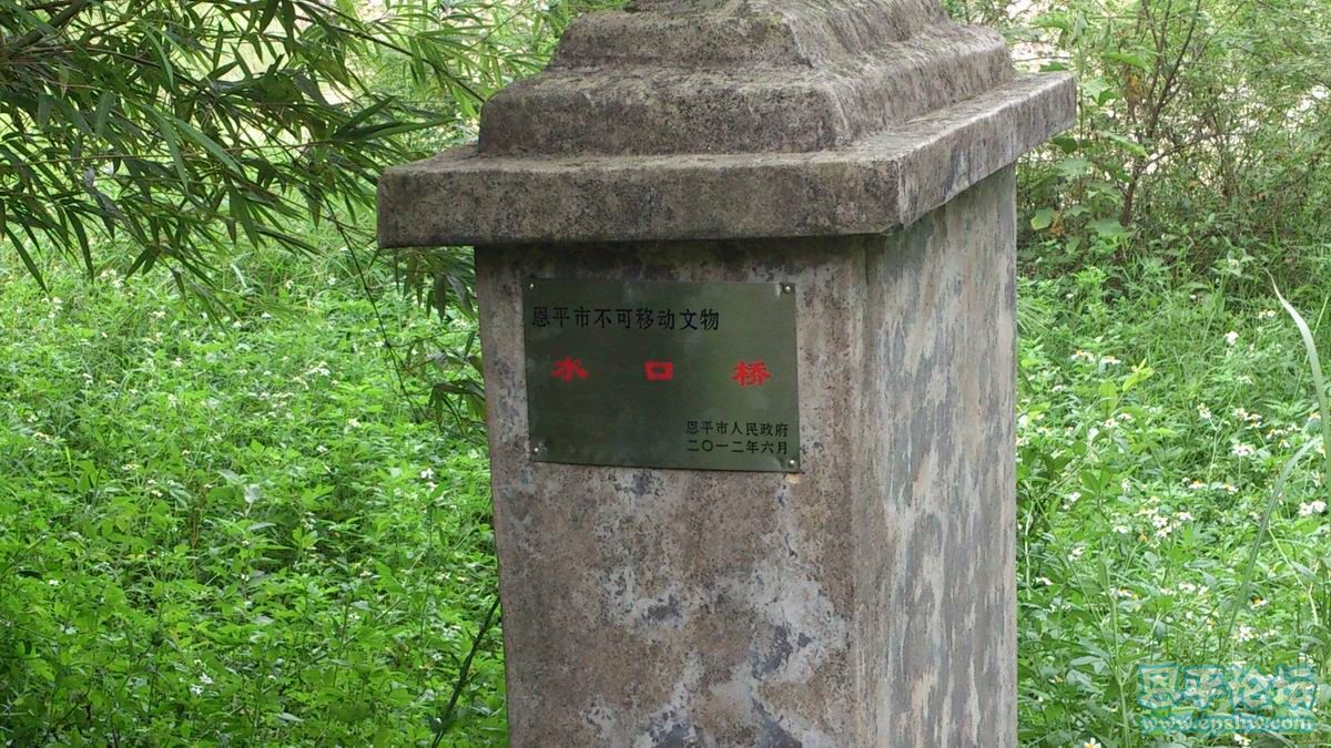 С DSC_0193.jpg